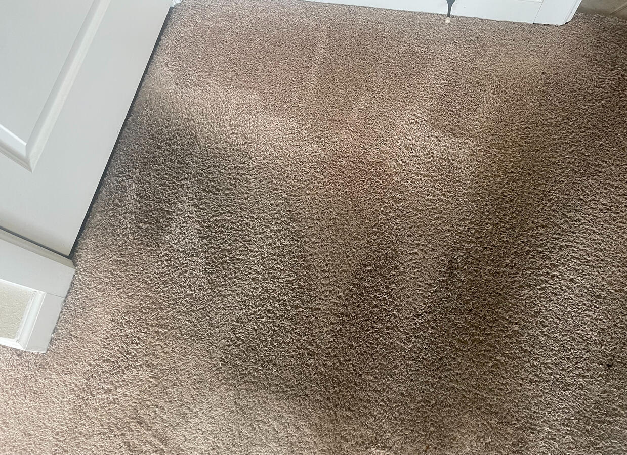 Noticeable dirt even after vacuuming